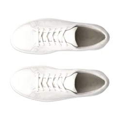 Hot Soft 60 Premium Women Casual Shoes