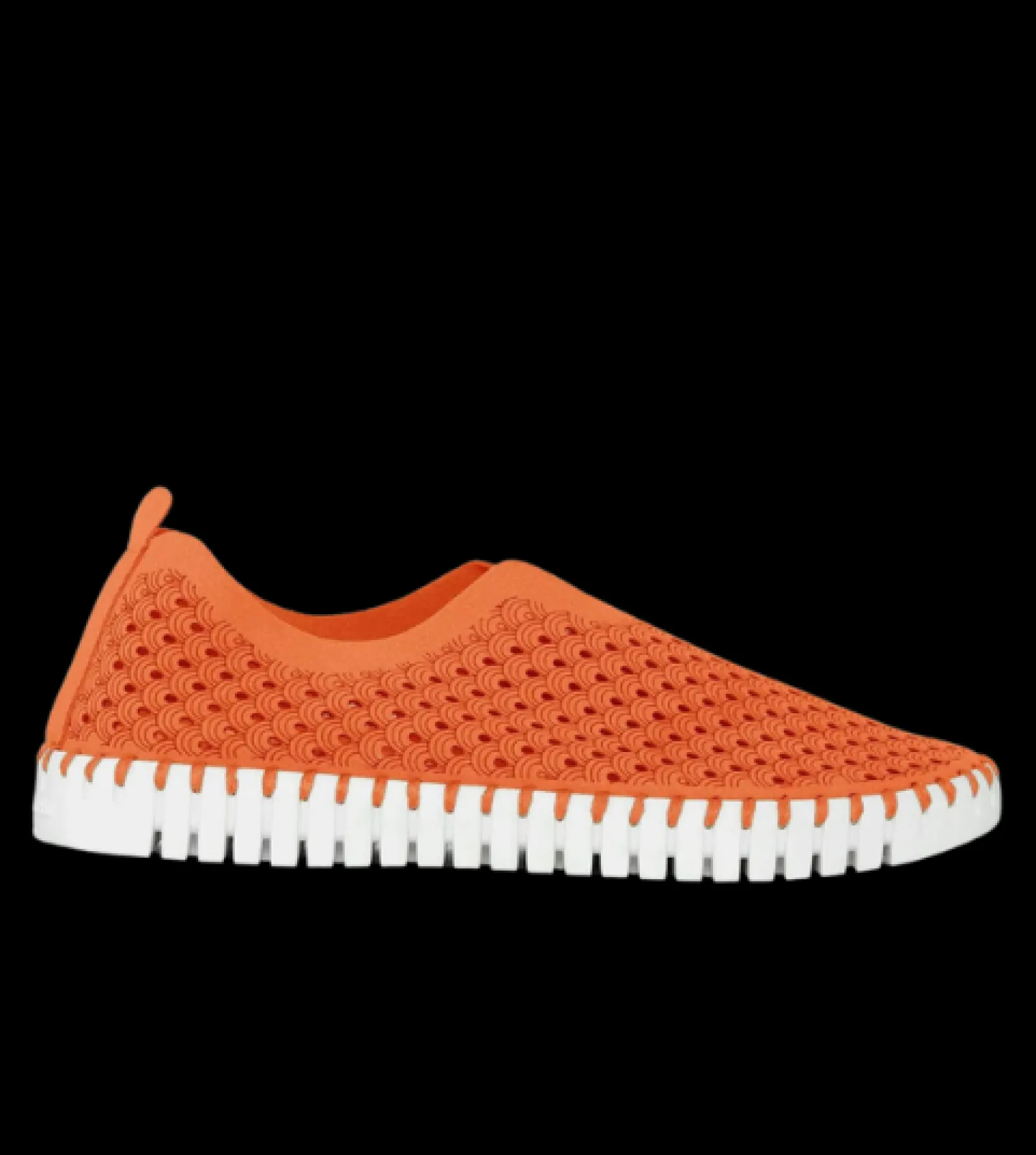 Discount Tulip139 Women Casual Shoes