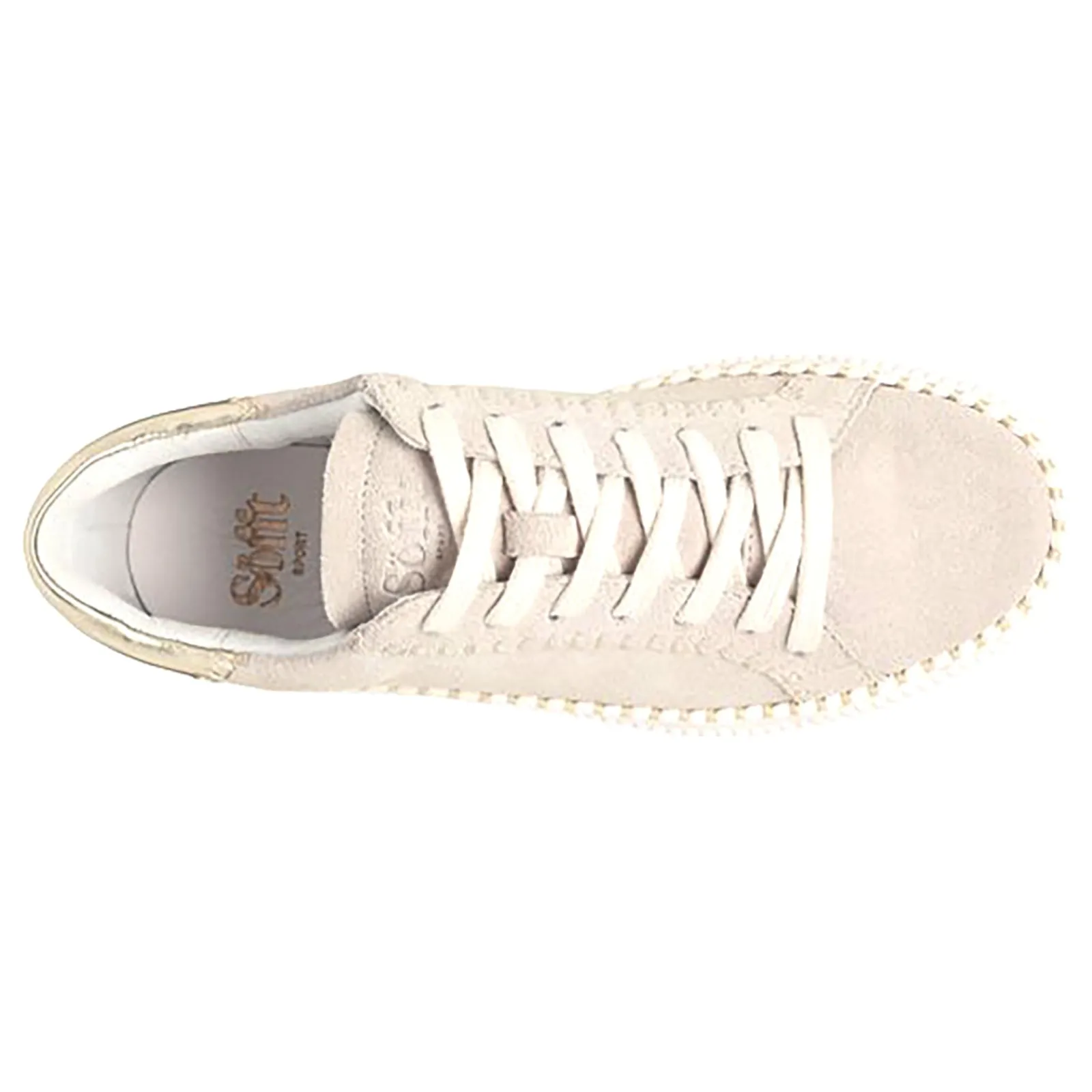 Fashion Frazier Women Casual Shoes|Athletic Shoes